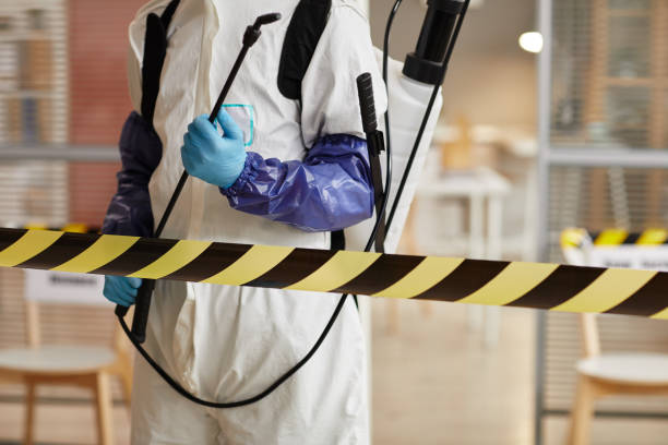 Professional Hoarding Cleanup technician working in Valley Stream, NY